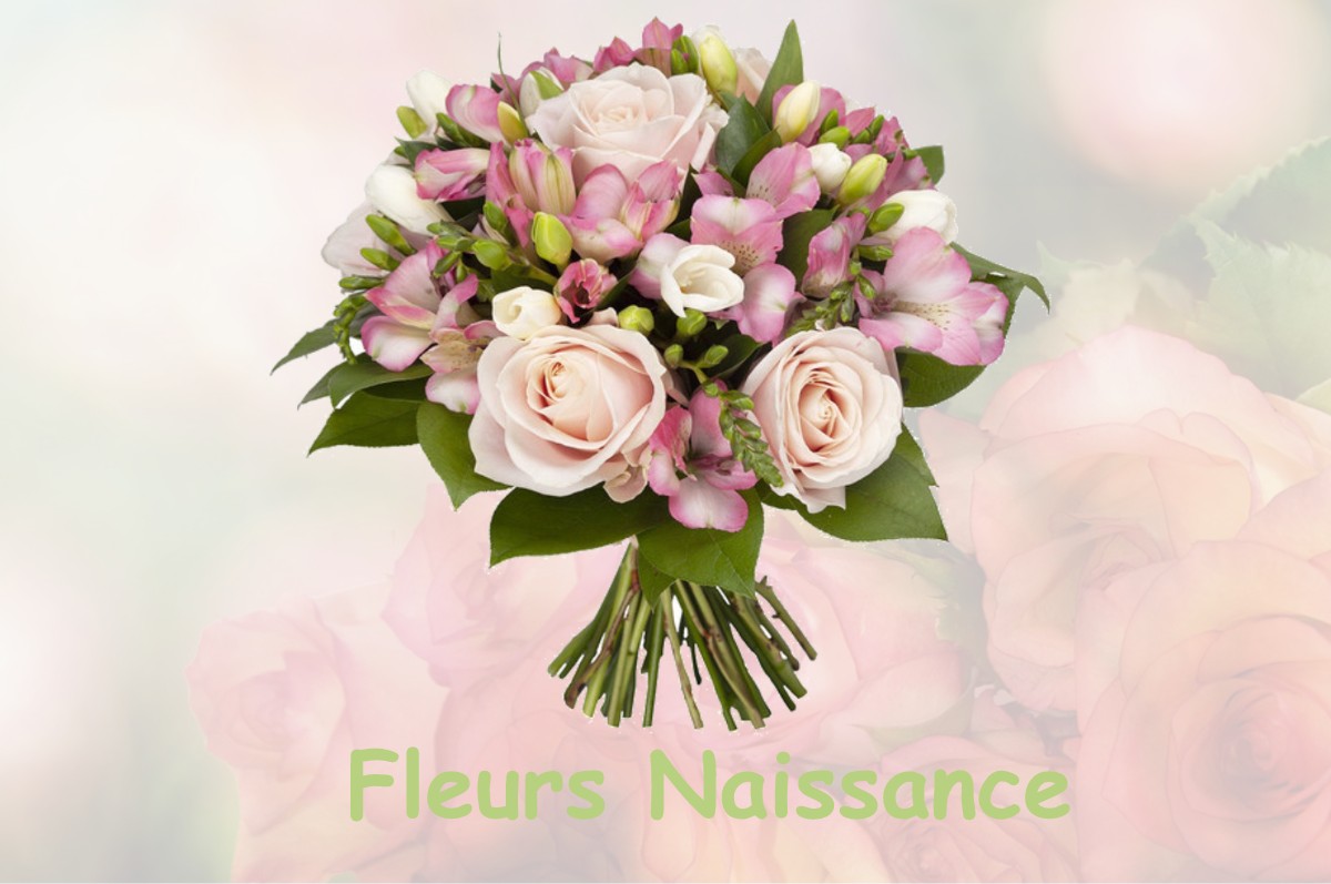 fleurs naissance BLAJAN