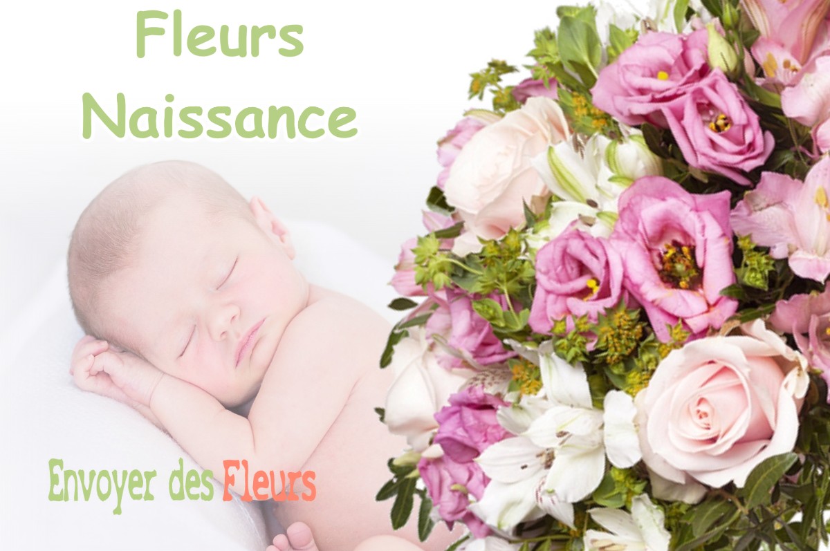 lIVRAISON FLEURS NAISSANCE à BLAJAN